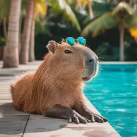 capy**** — Instagram account for sale