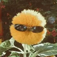 Sun ****