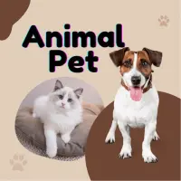 Anim**** — Telegram account for sale