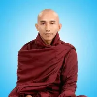 သစ္စ****