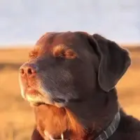 Mahd**** — Tiktok account for sale