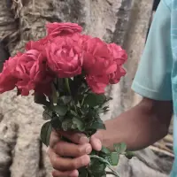 ❤�****