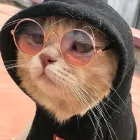 Resc**** — Tiktok account for sale
