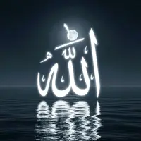 نس*******