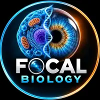 Foca**** — Tiktok account for sale
