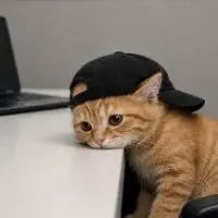 Char****