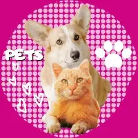 Pets****