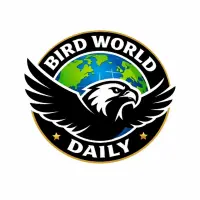 Bird**** — Youtube account for sale